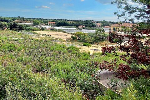 Terra a Albenga, Savona, Albenga - € 50.000 | Ref: 24371 - foto 3
