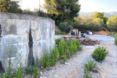 Terra a Albenga, Savona, Albenga - € 50.000 | Ref: 24371 - foto 5