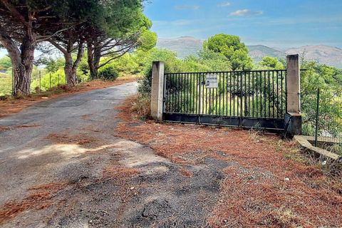 Terra a Albenga, Savona, Albenga - € 50.000 | Ref: 24371 - foto 7