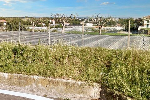 Terra a Albenga, Savona, Albenga - € 50.000 | Ref: 24371 - foto 8