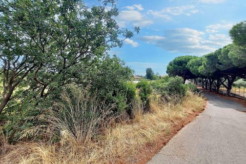 Terra a Albenga, Savona, Albenga - € 50.000 | Ref: 24371 - foto 9