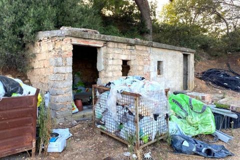 Terra a Albenga, Savona, Albenga - € 50.000 | Ref: 24371 - foto 10