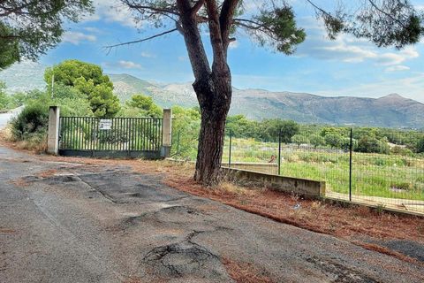 Terra a Albenga, Savona, Albenga - € 50.000 | Ref: 24371 - foto 12