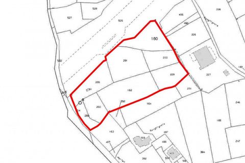 Terra a Albenga, Savona, Albenga - € 50.000 | Ref: 24371 - foto 14