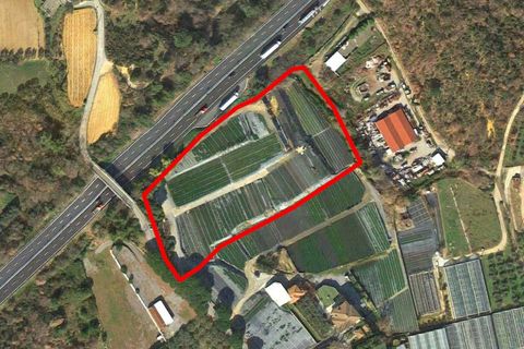 Terra a Albenga, Savona, Albenga - € 50.000 | Ref: 24371 - foto 19