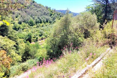 Terra a Pietrabruna, Imperia, Pietrabruna - € 217.835 | Ref: 24280 - foto 4