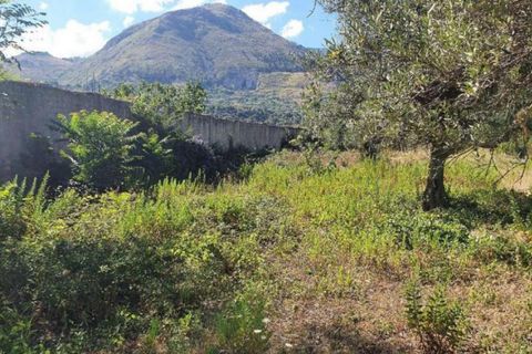 Terra a Partinico, Palermo, Partinico - € 63.173 | Ref: 20948 - foto 5