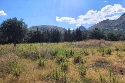 Terra a Partinico, Palermo, Partinico - € 63.173 | Ref: 20948 - foto 6