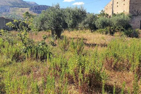 Terra a Partinico, Palermo, Partinico - € 63.173 | Ref: 20948 - foto 7