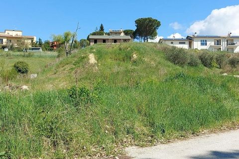 Terra a Spoleto, Perugia, Spoleto - € 54.675 | Ref: 20506 - foto 3