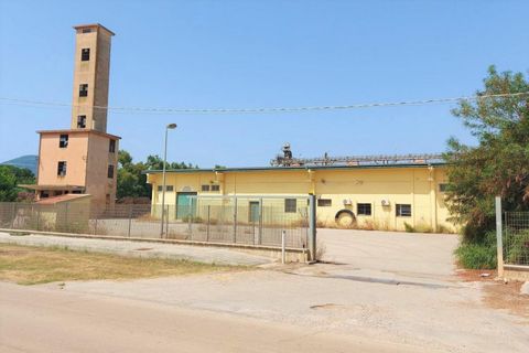Erhvervsejendom i Alghero, Sassari, Alghero - € 873.504 | Ref: 19430 - foto 1