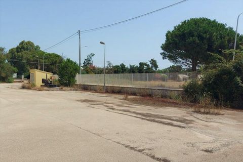 Erhvervsejendom i Alghero, Sassari, Alghero - € 873.504 | Ref: 19430 - foto 19