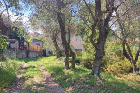 Landejendom i Pietrabruna, Imperia, Pietrabruna - € 175.230 | Ref: 13117 - foto 15
