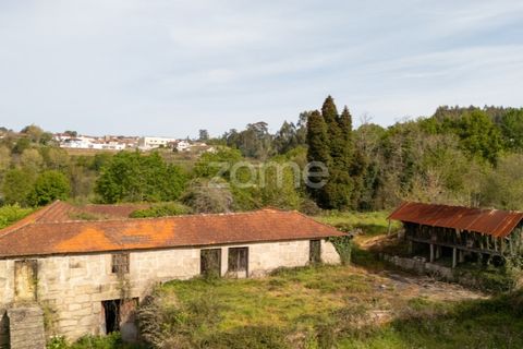 Farm i Paredes, Porto, Paredes - € 700.000 | Ref: ZMPT575967 - foto 3