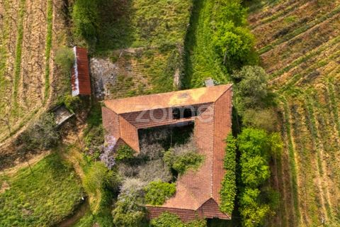 Farm i Paredes, Porto, Paredes - € 700.000 | Ref: ZMPT575967 - foto 4