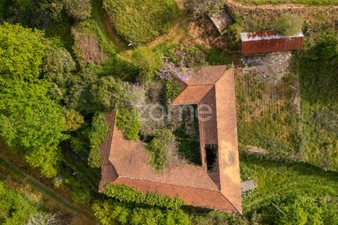 Farm i Paredes, Porto, Paredes - € 700.000 | Ref: ZMPT575967 - foto 5