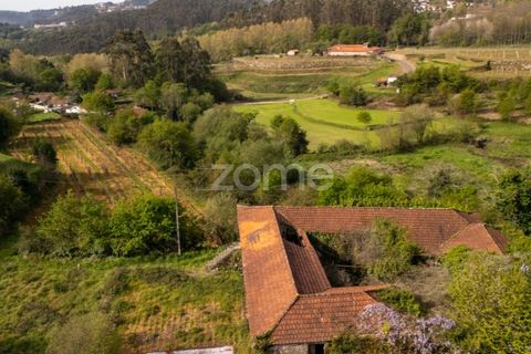 Farm i Paredes, Porto, Paredes - € 700.000 | Ref: ZMPT575967 - foto 6
