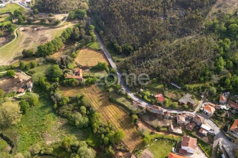 Farm i Paredes, Porto, Paredes - € 700.000 | Ref: ZMPT575967 - foto 7