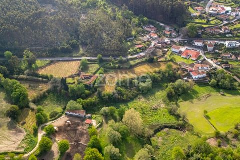 Farm i Paredes, Porto, Paredes - € 700.000 | Ref: ZMPT575967 - foto 8