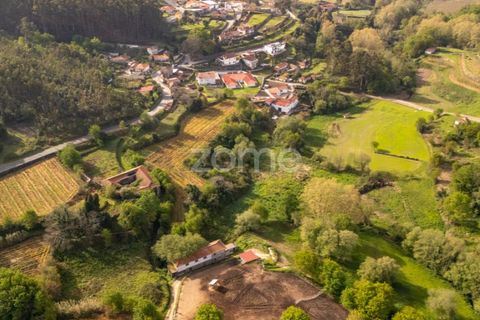 Farm i Paredes, Porto, Paredes - € 700.000 | Ref: ZMPT575967 - foto 9