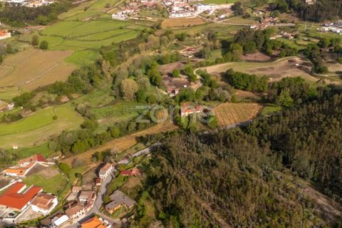 Farm i Paredes, Porto, Paredes - € 700.000 | Ref: ZMPT575967 - foto 10