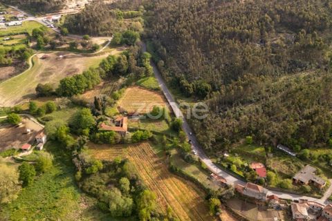 Farm i Paredes, Porto, Paredes - € 700.000 | Ref: ZMPT575967 - foto 11