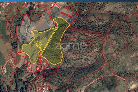 Farm i Paredes, Porto, Paredes - € 700.000 | Ref: ZMPT575967 - foto 12
