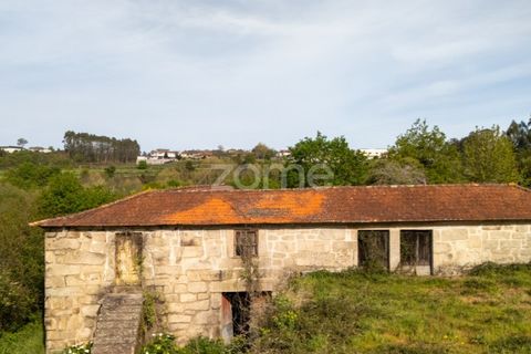 Farm i Paredes, Porto, Paredes - € 700.000 | Ref: ZMPT575967 - foto 2