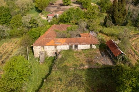 Farm i Paredes, Porto, Paredes - € 700.000 | Ref: ZMPT575967 - foto 1