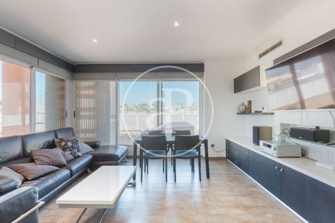 Villa i Burriana, Castellon, Burriana - € 290.000 | Ref: VV2504051 - foto 4