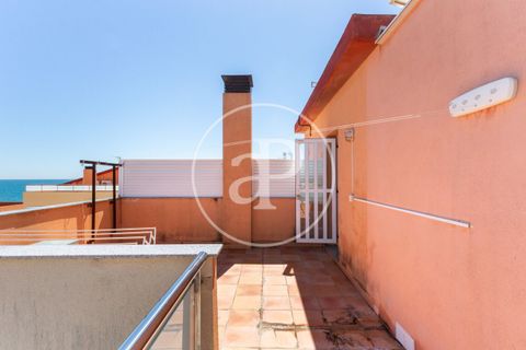 Villa i Burriana, Castellon, Burriana - € 290.000 | Ref: VV2504051 - foto 27