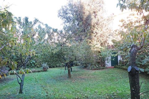 Villa a Carrara, Massa and Carrara, Carrara - € 590.000 | Ref: 296A-484451 - foto 38