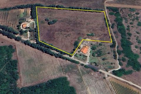Erhvervsejendom i Alghero, Sassari, Alghero - € 44.000 | Ref: SAR559 - foto 1