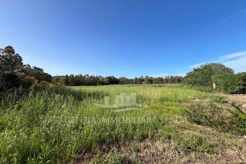 Erhvervsejendom i Alghero, Sassari, Alghero - € 44.000 | Ref: SAR559 - foto 2