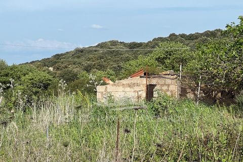 Erhvervsejendom i Alghero, Sassari, Alghero - € 44.000 | Ref: SAR559 - foto 3