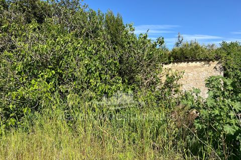 Erhvervsejendom i Alghero, Sassari, Alghero - € 44.000 | Ref: SAR559 - foto 4
