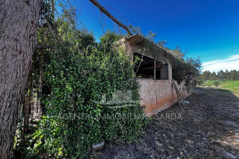 Erhvervsejendom i Alghero, Sassari, Alghero - € 44.000 | Ref: SAR559 - foto 5