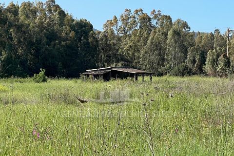 Erhvervsejendom i Alghero, Sassari, Alghero - € 44.000 | Ref: SAR559 - foto 6