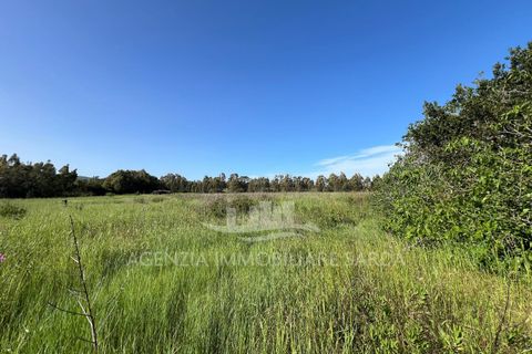 Erhvervsejendom i Alghero, Sassari, Alghero - € 44.000 | Ref: SAR559 - foto 7