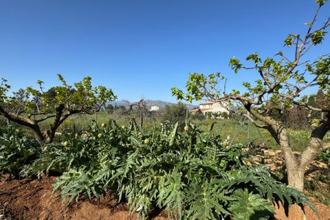Finca i Benissa, Alicante, Benissa - € 640.000 | Ref: F0206 - foto 13