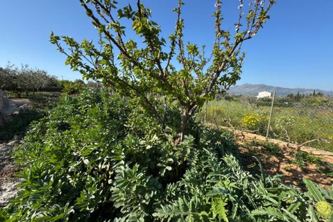 Finca i Benissa, Alicante, Benissa - € 640.000 | Ref: F0206 - foto 15