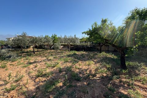 Finca i Benissa, Alicante, Benissa - € 640.000 | Ref: F0206 - foto 19