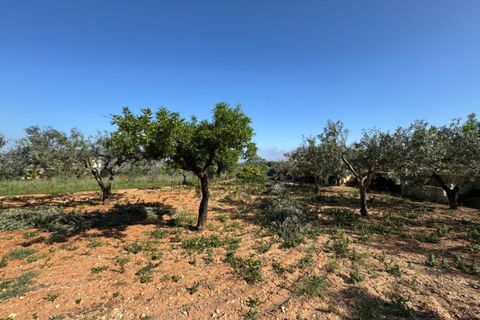 Finca i Benissa, Alicante, Benissa - € 640.000 | Ref: F0206 - foto 20