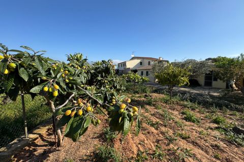 Finca i Benissa, Alicante, Benissa - € 640.000 | Ref: F0206 - foto 22