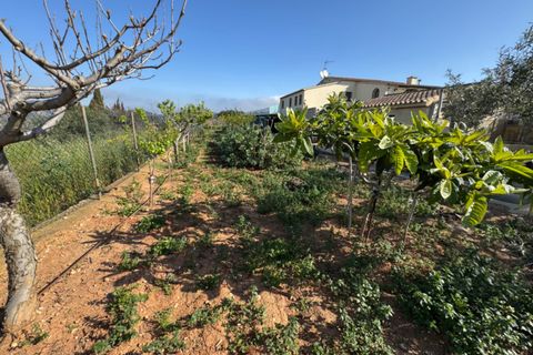 Finca i Benissa, Alicante, Benissa - € 640.000 | Ref: F0206 - foto 23