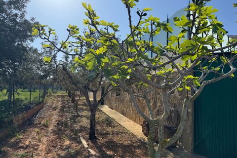 Finca i Benissa, Alicante, Benissa - € 640.000 | Ref: F0206 - foto 26