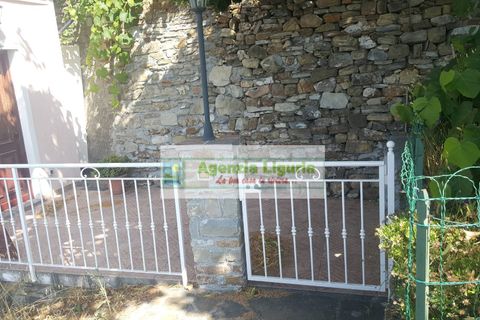 Lejlighed i Perinaldo, Imperia, Perinaldo - € 110.000 | Ref: 1013 - foto 25