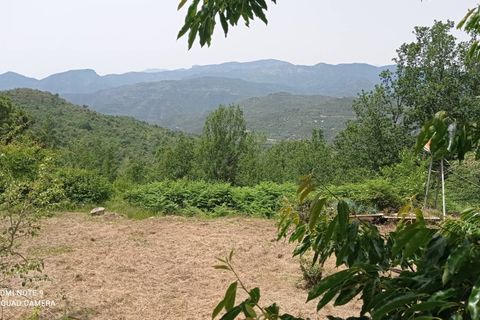 Villa a Perinaldo, Imperia, Perinaldo - € 120.000 | Ref: 1085 - foto 2