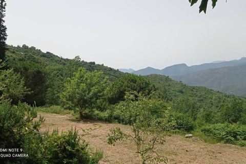 Villa a Perinaldo, Imperia, Perinaldo - € 120.000 | Ref: 1085 - foto 3