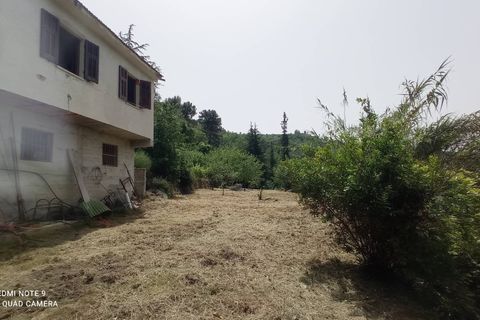 Villa a Perinaldo, Imperia, Perinaldo - € 120.000 | Ref: 1085 - foto 6